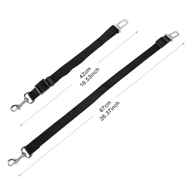 SafeRide dog seat belt tether clipped to harness