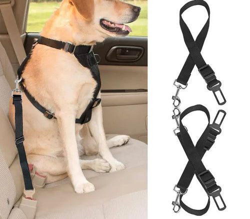 Dog wearing SafeRide car seat belt harness tether