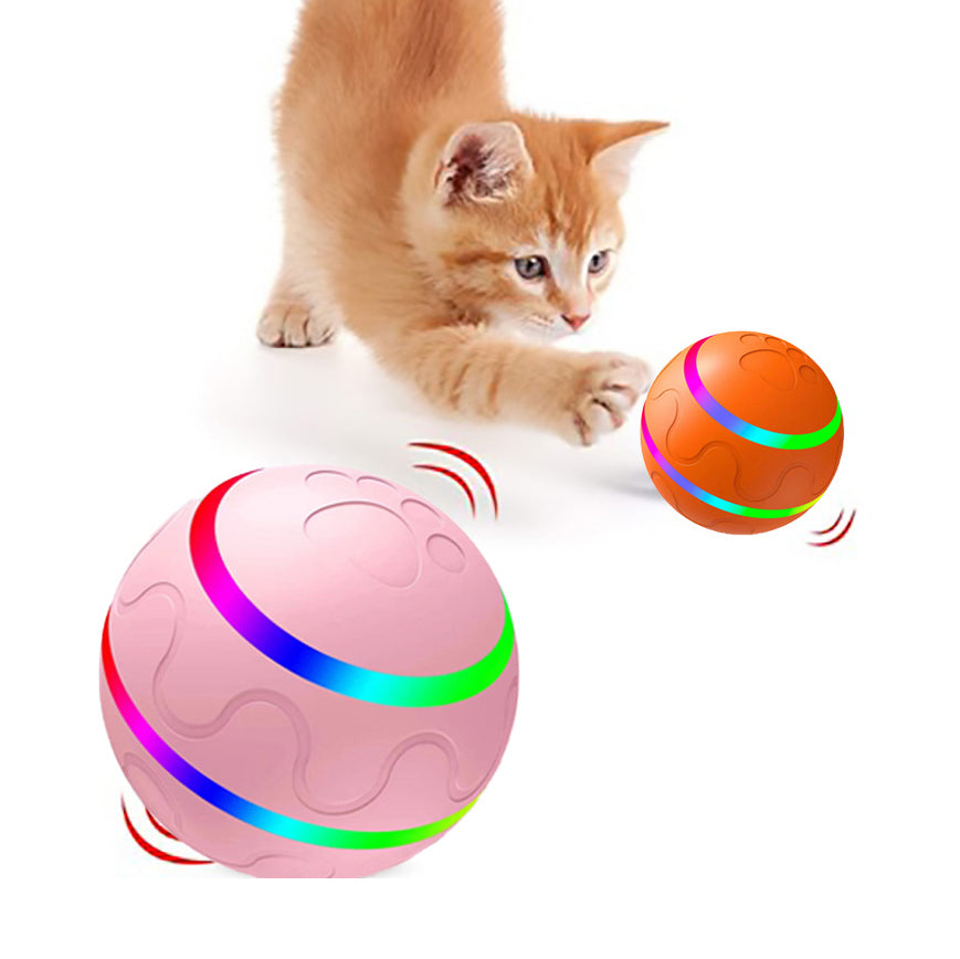 Kitten chasing WhiskerRoll smart ball