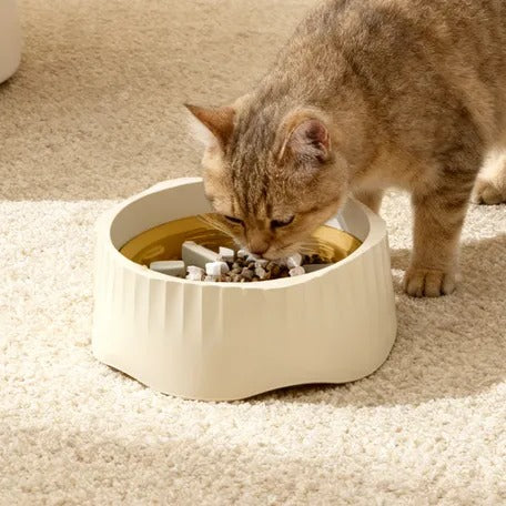 Cat eating from SlowSip slow feeder bowl