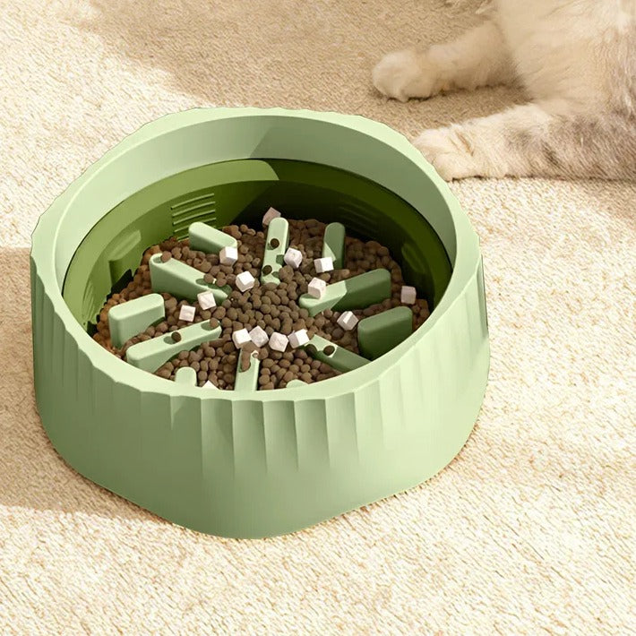 SlowSip slow feeder bowl in green